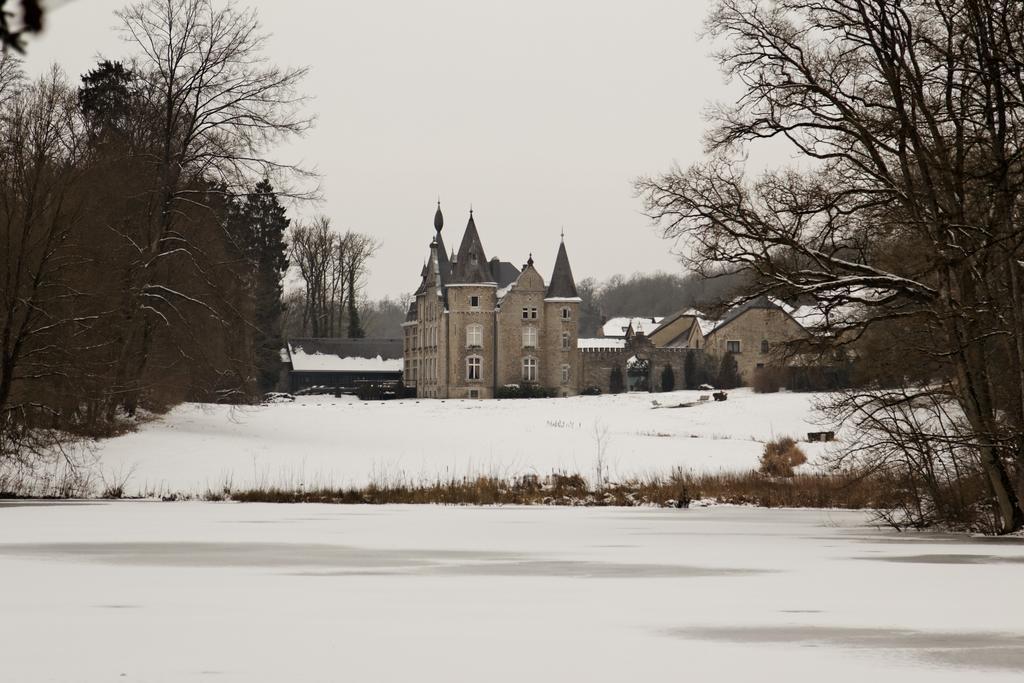 Chateau D'Hassonville Aye Eksteriør bilde