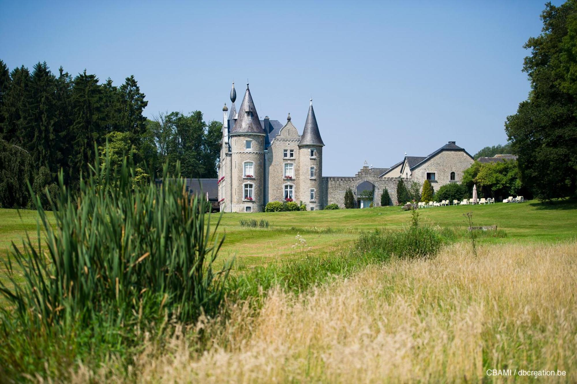 Chateau D'Hassonville Aye Eksteriør bilde