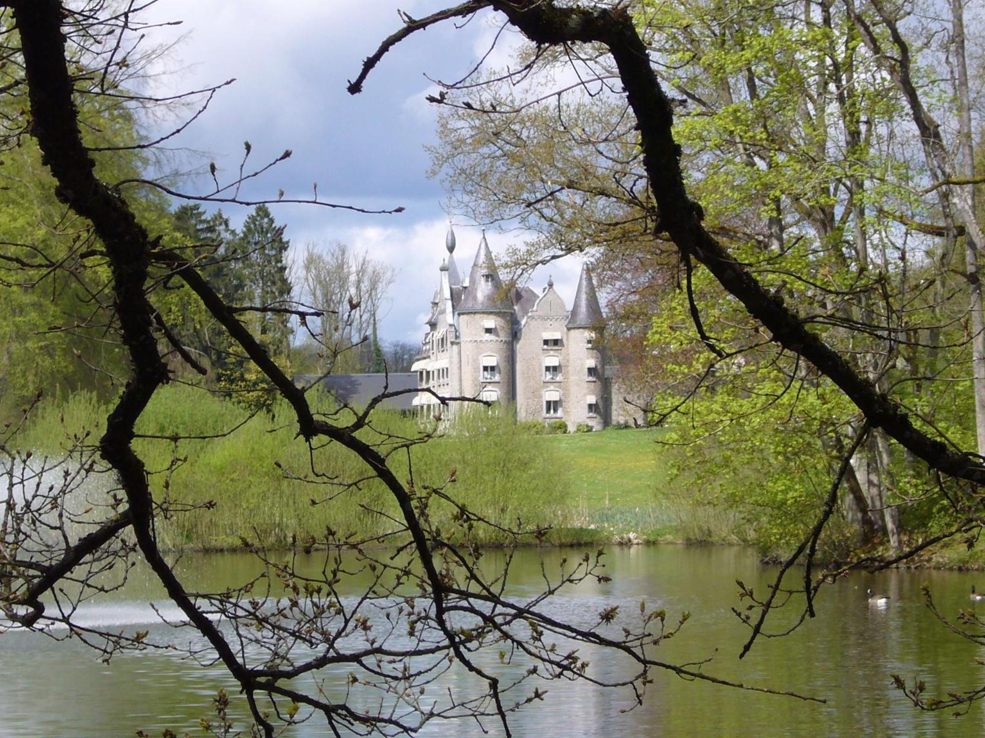 Chateau D'Hassonville Aye Eksteriør bilde