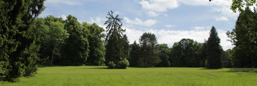 Chateau D'Hassonville Aye Eksteriør bilde