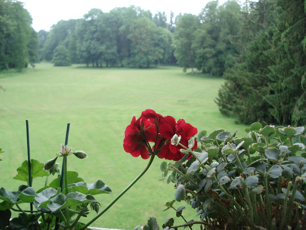 Chateau D'Hassonville Aye Eksteriør bilde